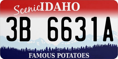 ID license plate 3B6631A