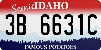 ID license plate 3B6631C