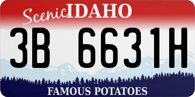ID license plate 3B6631H