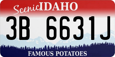 ID license plate 3B6631J