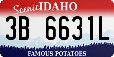 ID license plate 3B6631L