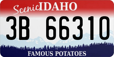 ID license plate 3B6631O