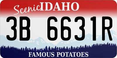 ID license plate 3B6631R