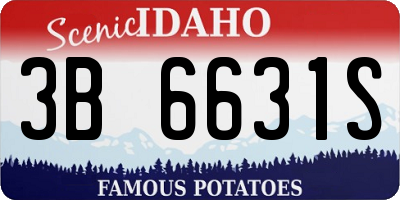ID license plate 3B6631S