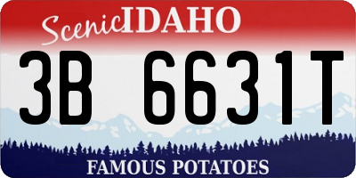 ID license plate 3B6631T
