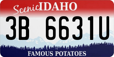 ID license plate 3B6631U