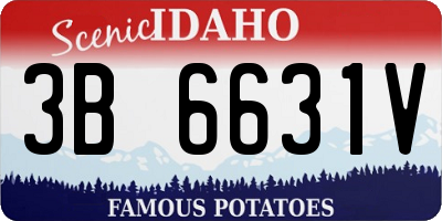 ID license plate 3B6631V