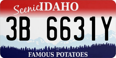 ID license plate 3B6631Y