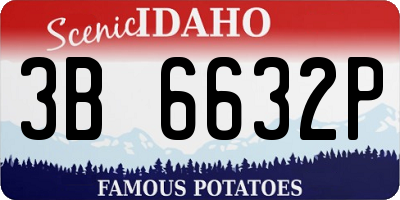 ID license plate 3B6632P