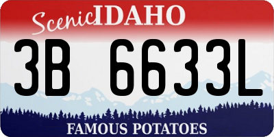 ID license plate 3B6633L