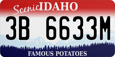 ID license plate 3B6633M