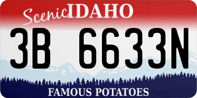 ID license plate 3B6633N