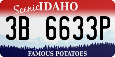 ID license plate 3B6633P