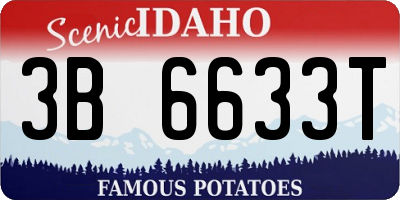 ID license plate 3B6633T