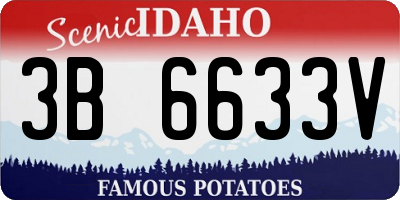 ID license plate 3B6633V