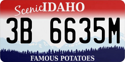 ID license plate 3B6635M