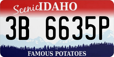 ID license plate 3B6635P