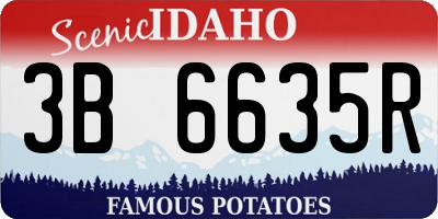 ID license plate 3B6635R