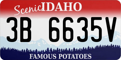 ID license plate 3B6635V