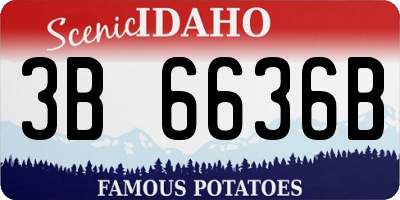 ID license plate 3B6636B