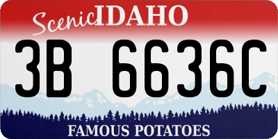 ID license plate 3B6636C
