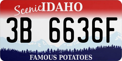 ID license plate 3B6636F