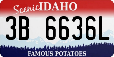 ID license plate 3B6636L