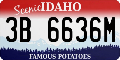 ID license plate 3B6636M