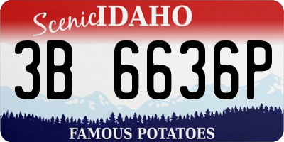 ID license plate 3B6636P