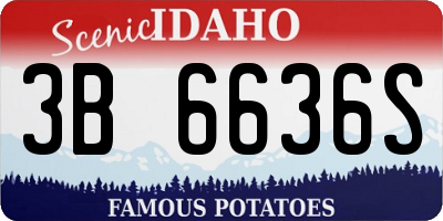 ID license plate 3B6636S
