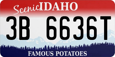 ID license plate 3B6636T
