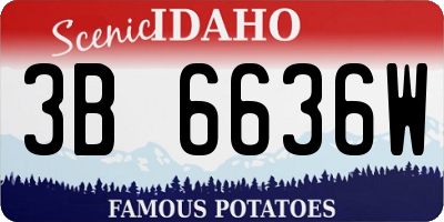 ID license plate 3B6636W