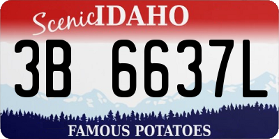 ID license plate 3B6637L