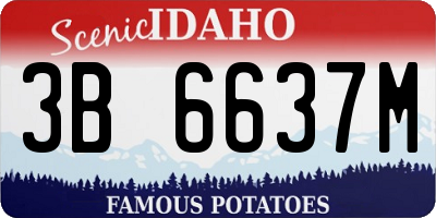 ID license plate 3B6637M
