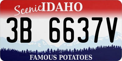 ID license plate 3B6637V