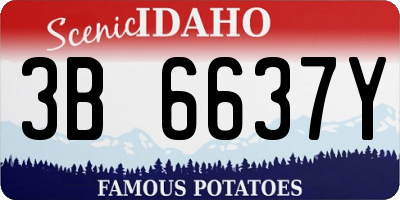 ID license plate 3B6637Y