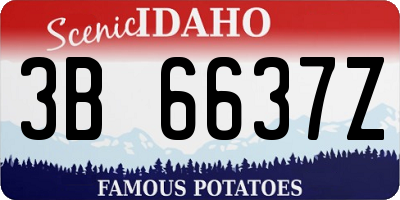 ID license plate 3B6637Z