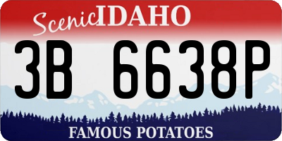 ID license plate 3B6638P