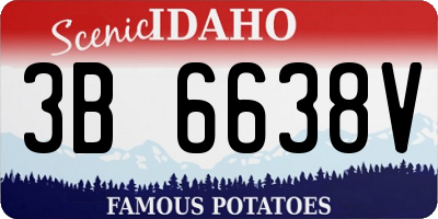ID license plate 3B6638V