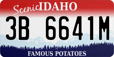 ID license plate 3B6641M