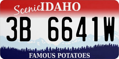 ID license plate 3B6641W