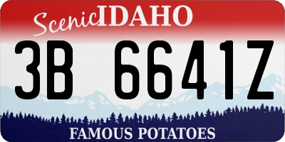 ID license plate 3B6641Z