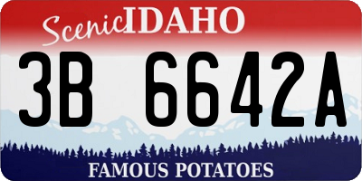 ID license plate 3B6642A