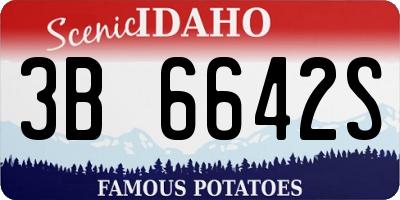 ID license plate 3B6642S