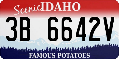 ID license plate 3B6642V