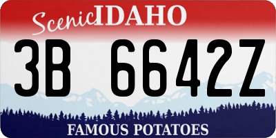 ID license plate 3B6642Z