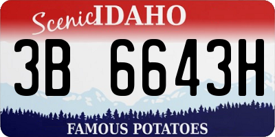 ID license plate 3B6643H