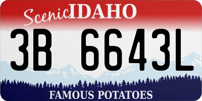 ID license plate 3B6643L