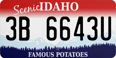 ID license plate 3B6643U