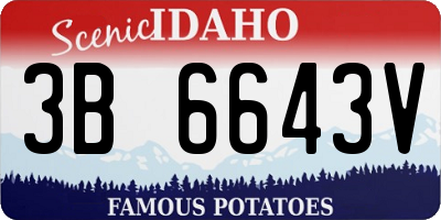 ID license plate 3B6643V